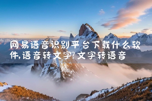 网易语音识别平台下载什么软件