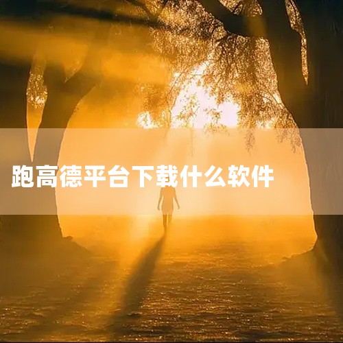 一、下载高德车主平台APP：首先要下载高德车主APP，分别在安卓、iOS及H5版本中；二、同意《高德车主平台服务协议》，并完成账号注册：然后进行账号注册，在账号注册过程中，须填写准确的本人信息，以及手|