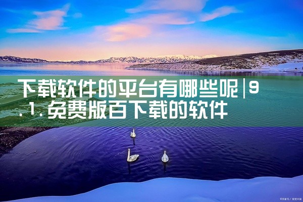 下载软件的平台有哪些呢