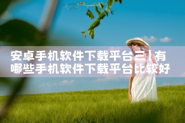 安卓手机软件下载平台三