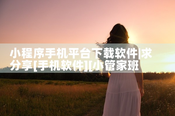 小程序手机平台下载软件