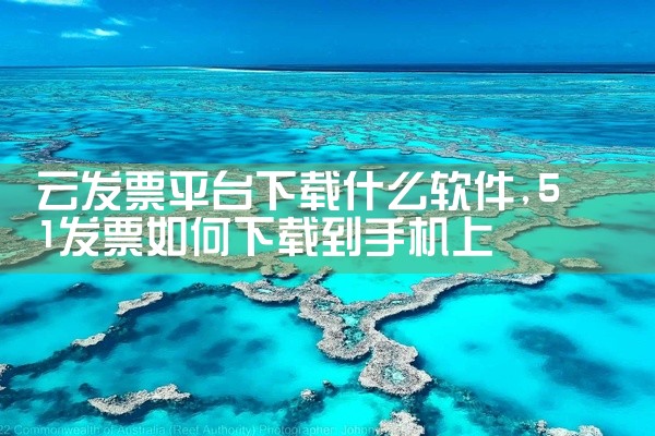 云发票平台下载什么软件