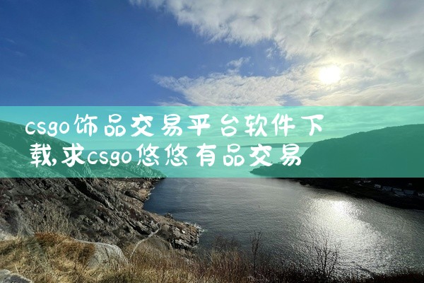 csgo饰品交易平台软件下载