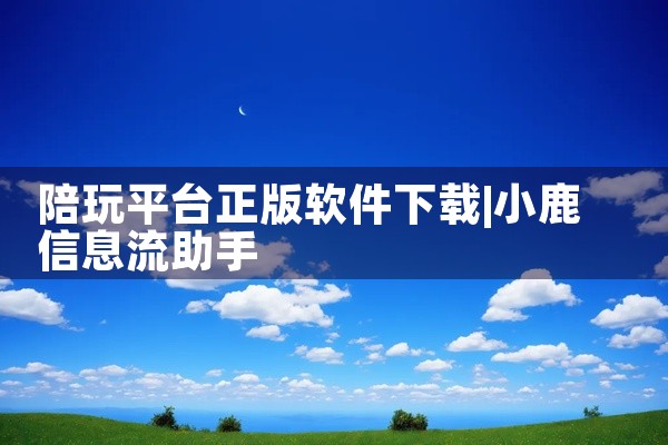 陪玩平台正版软件下载