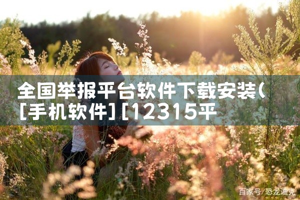 全国举报平台软件下载安装