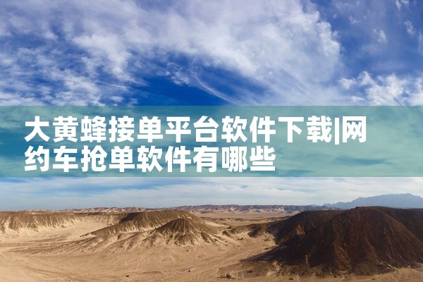 大黄蜂接单平台软件下载