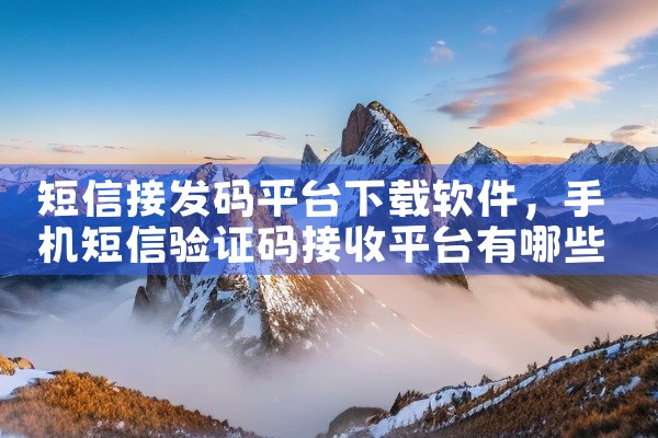 短信接发码平台下载软件