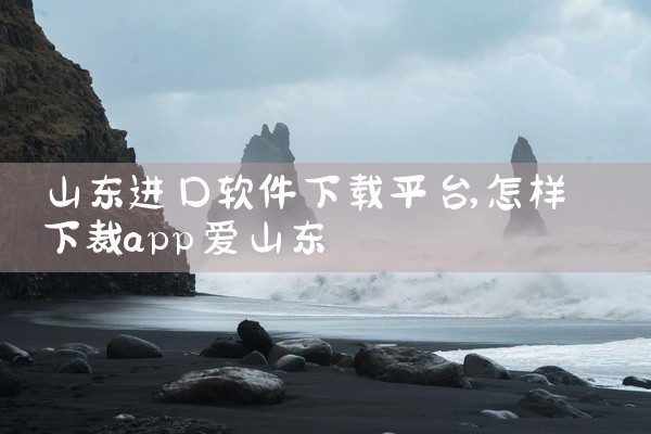 山东进口软件下载平台