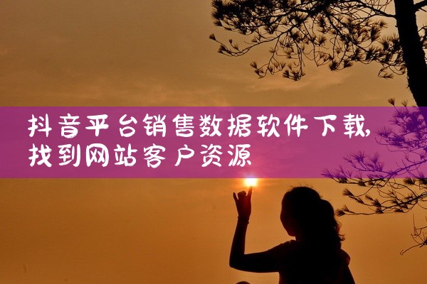 抖音平台销售数据软件下载