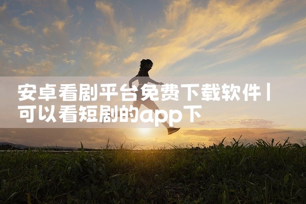 下载一个小平台的软件